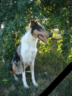 Eugene_RIP